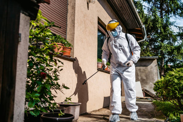 Best Wasp Removal Services  in Victoria, MN