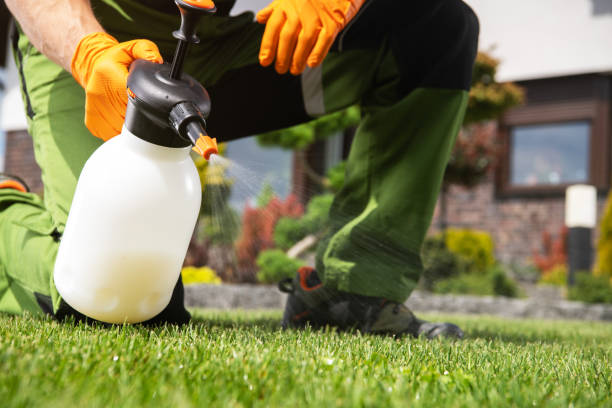 Trusted Victoria, MN Pest Control Experts