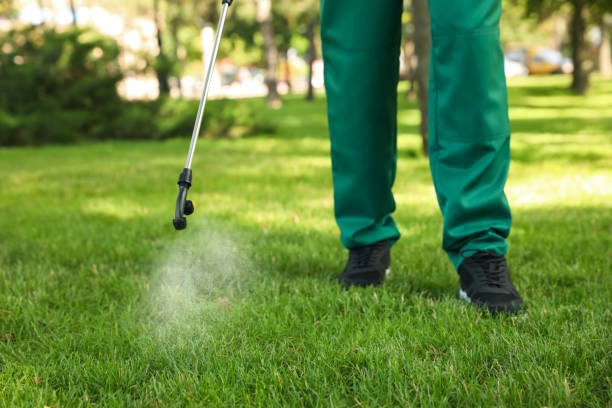 Best Best Pest Control Companies  in Victoria, MN