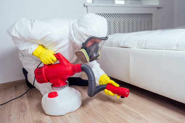 Best Flea Control Services  in Victoria, MN