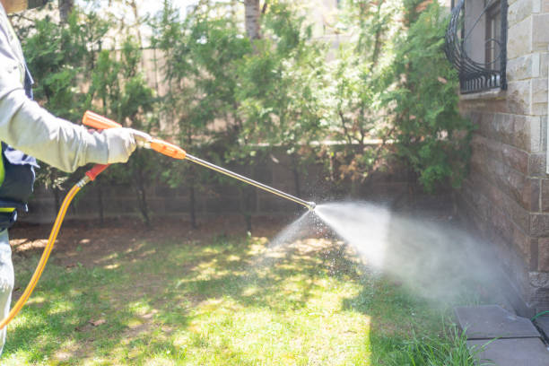 Best Insect Control  in Victoria, MN