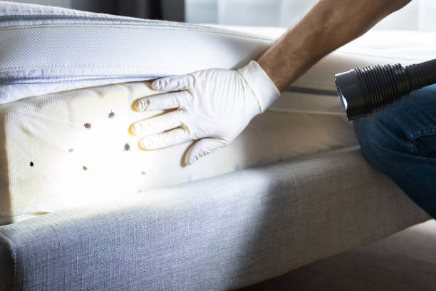 Best Exterminator Services  in Victoria, MN