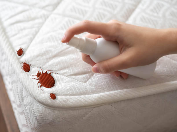 Best Local Pest Control Services  in Victoria, MN
