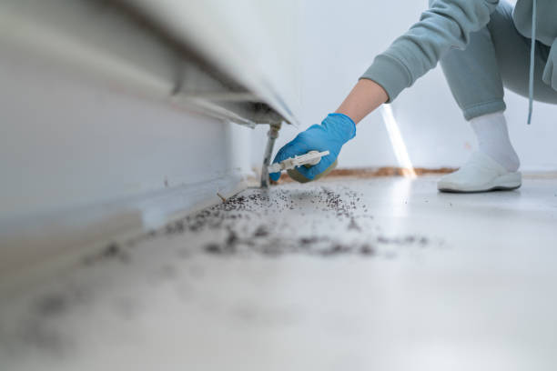Best Emergency Pest Control  in Victoria, MN